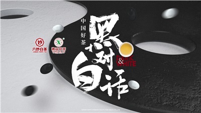 首屆黑白對話高峰論壇圓滿落幕！湘益茯茶備受關(guān)注！